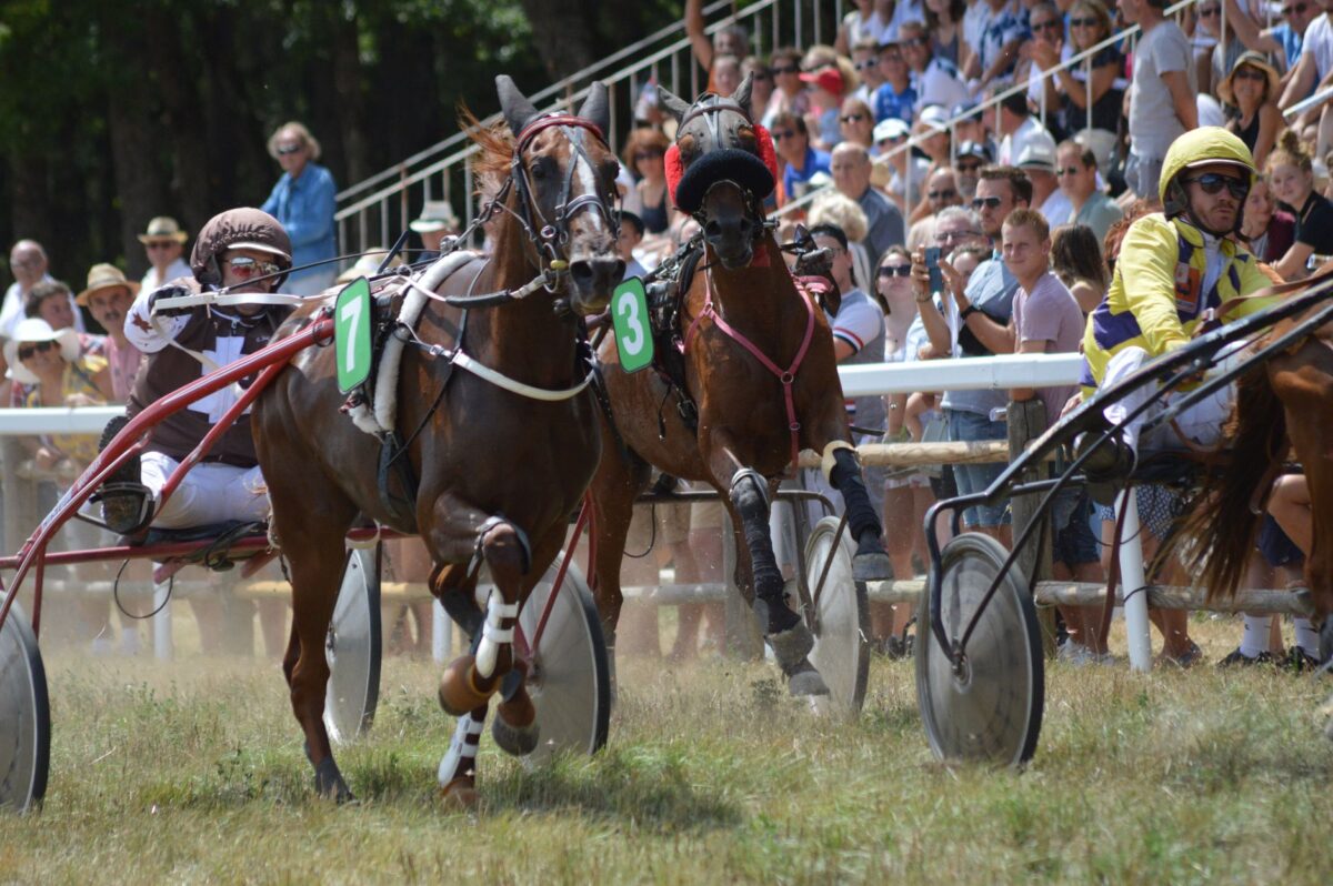grand prix wallonie profils dominent souvent