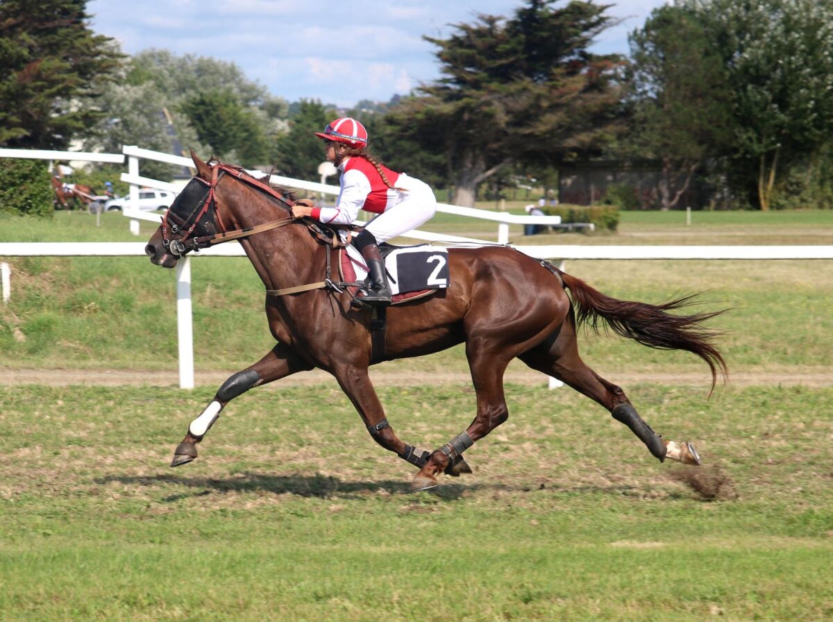 grand prix launay erreurs fréquentes faussent