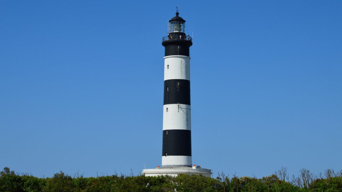 nouvelle aquitaine fort disciplines illustrent mieux